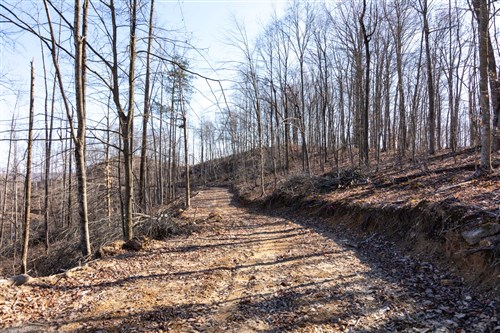 Creek Hollow Phase I Tract 18