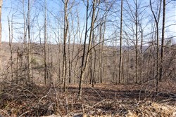 Creek Hollow Phase I Tract 18