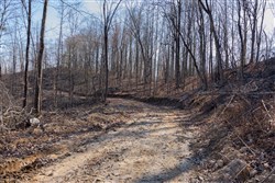 Creek Hollow Phase I Tract 18