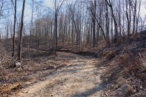 Creek Hollow Phase I Tract 18
