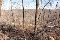 Creek Hollow Phase I Tract 18