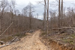 Creek Hollow Phase I Tract 18