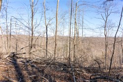 Creek Hollow Phase I Tract 18