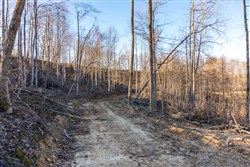 Creek Hollow Phase I Tract 22