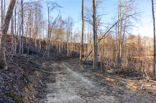 Creek Hollow Phase I Tract 22