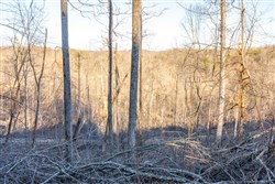 Creek Hollow Phase I Tract 22