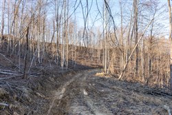 Creek Hollow Phase I Tract 22