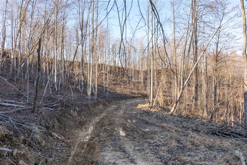 Creek Hollow Phase I Tract 22