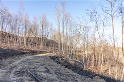 Creek Hollow Phase I Tract 22