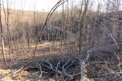 Creek Hollow Phase I Tract 22