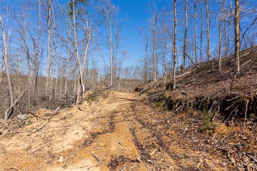Creek Hollow Phase I Tract 34