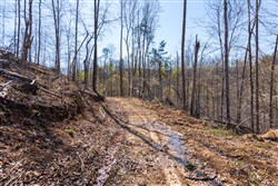 Creek Hollow Phase I Tract 34