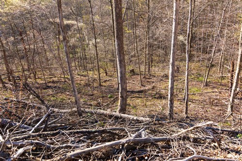 Creek Hollow Phase I Tract 34