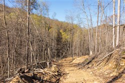 Creek Hollow Phase I Tract 34