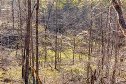 Creek Hollow Phase I Tract 34