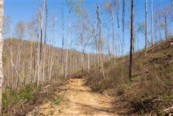 Creek Hollow Phase I Tract 38