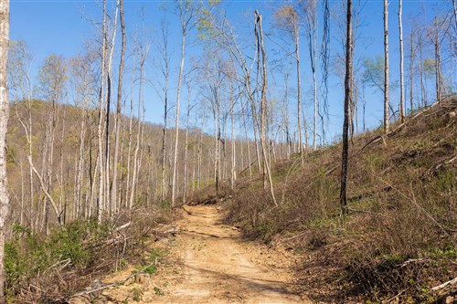 Creek Hollow Phase I Tract 38