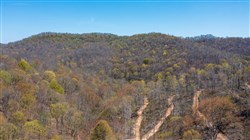 Creek Hollow Phase I Tract 38