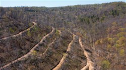 Creek Hollow Phase I Tract 38