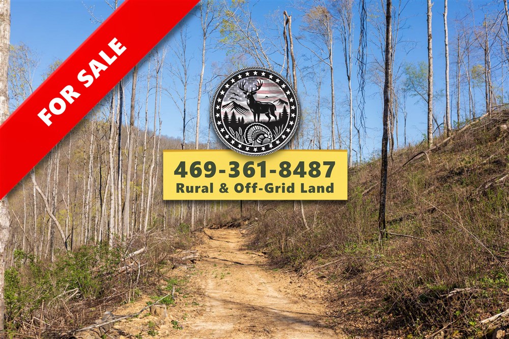 Creek Hollow Phase I Tract 38 - Primary