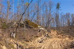 Creek Hollow Phase I Tract 39