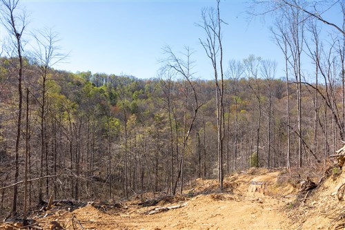 Creek Hollow Phase I Tract 39