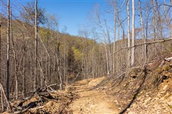 Creek Hollow Phase I Tract 39
