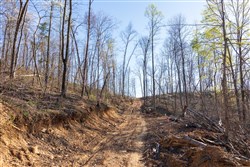 Creek Hollow Phase I Tract 40