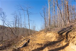 Creek Hollow Phase I Tract 40