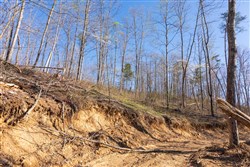 Creek Hollow Phase I Tract 40
