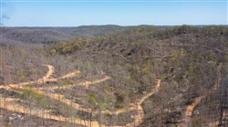 Creek Hollow Phase I Tract 40