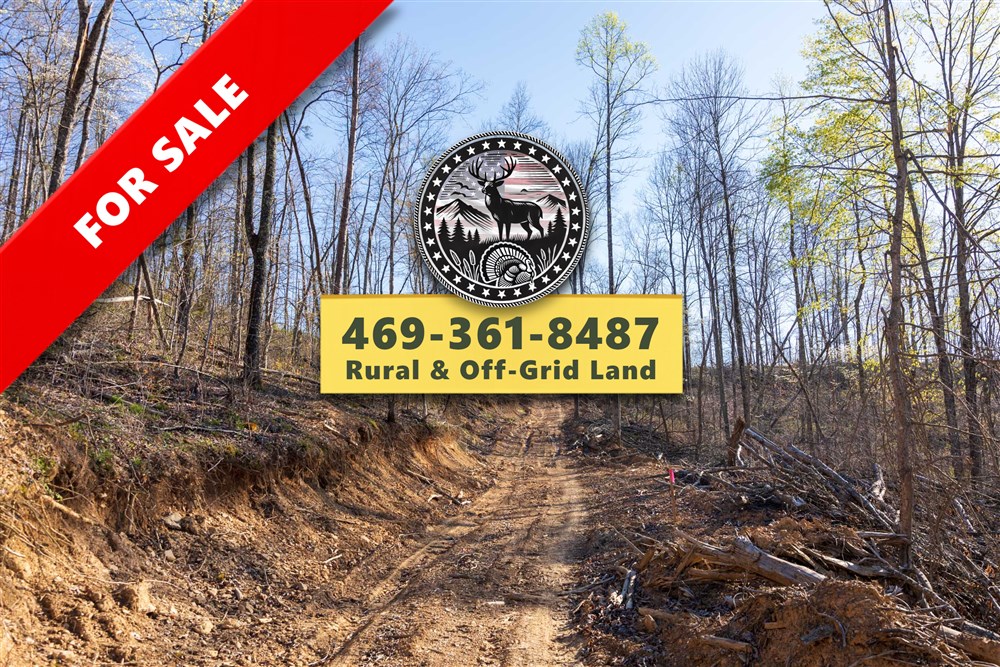Creek Hollow Phase I Tract 40 - Primary