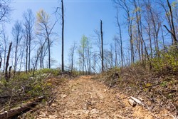 Creek Hollow Phase I Tract 41