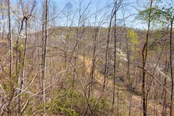 Creek Hollow Phase I Tract 41