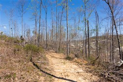 Creek Hollow Phase I Tract 41
