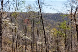 Creek Hollow Phase I Tract 41