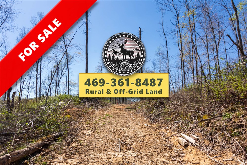 Creek Hollow Phase I Tract 41 - Primary