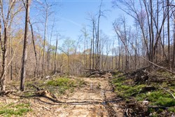 Creek Hollow Phase I Tract 44