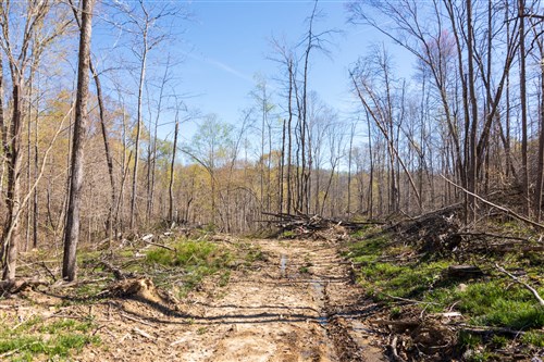 Creek Hollow Phase I Tract 44