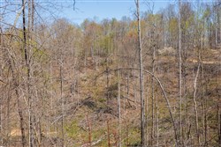 Creek Hollow Phase I Tract 44