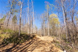 Creek Hollow Phase I Tract 44