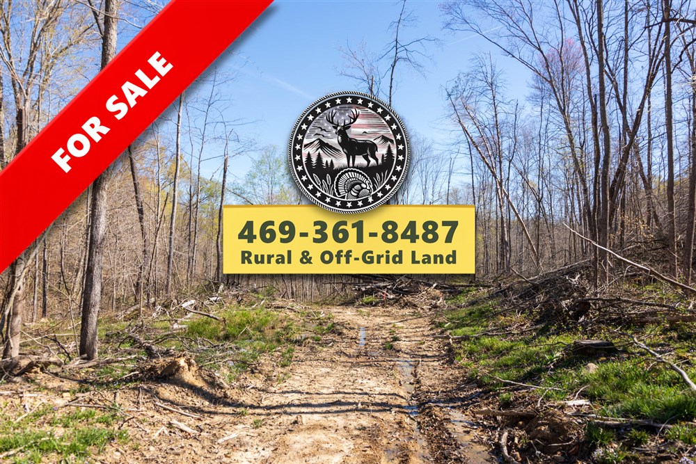 Creek Hollow Phase I Tract 44 - Primary