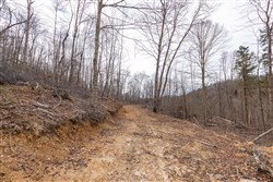 Creek Hollow Phase I Tract 5
