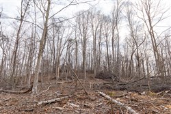 Creek Hollow Phase I Tract 5