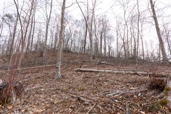 Creek Hollow Phase I Tract 5