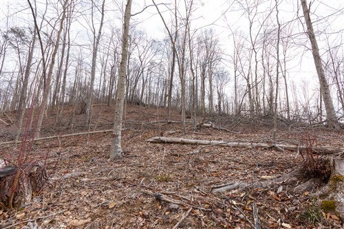 Creek Hollow Phase I Tract 5