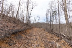 Creek Hollow Phase I Tract 5