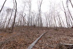 Creek Hollow Phase I Tract 5