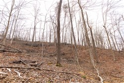 Creek Hollow Phase I Tract 5