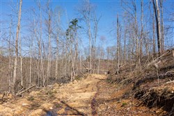 property photo for Creek Hollow Phase I Tract 53, 7.13 acres for sale in Rockcastle County, Kentucky